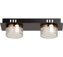 Светильник De City Гэлэкси 2x6W LED 220V 632018702