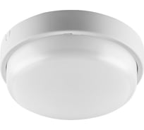 Светильник WOLTA PRO ЖКХ 8Вт 6500К IP65 Матовый ДБО01-8-001-6К