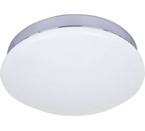 Потолочный светодиодный светильник F-promo 2464-1C