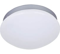 Потолочный светодиодный светильник F-promo 2467-1C