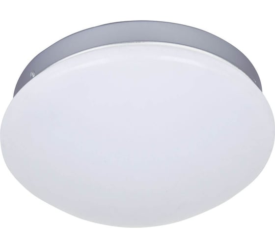 Потолочный светодиодный светильник F-promo 2467-1C