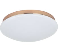 Потолочный светодиодный светильник F-promo 2465-2C