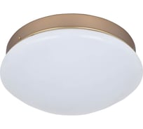 Потолочный светодиодный светильник F-promo 2466-1C