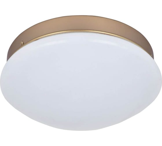 Потолочный светодиодный светильник F-promo 2466-1C