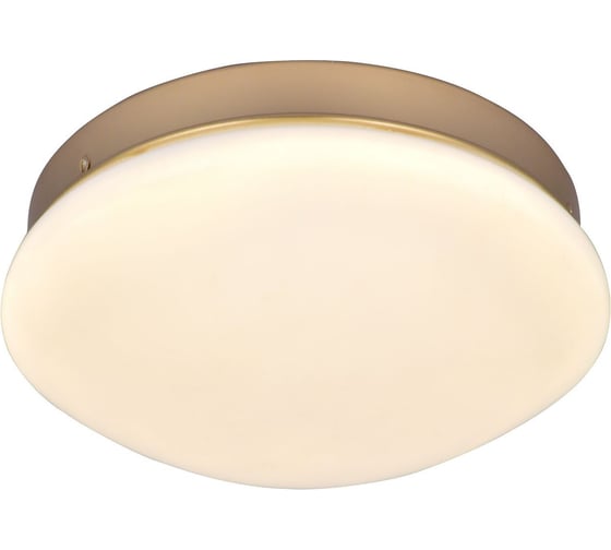 Потолочный светодиодный светильник F-promo 2466-1C
