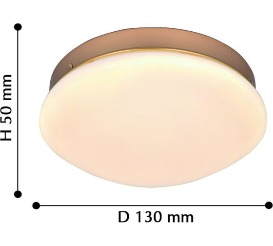 Потолочный светодиодный светильник F-promo 2466-1C