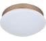 Потолочный светодиодный светильник F-promo 2466-1C 1