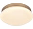 Потолочный светодиодный светильник F-promo 2466-1C 2