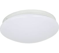 Потолочный светодиодный светильник F-promo 2469-2C