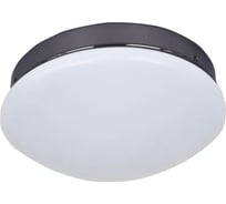 Потолочный светодиодный светильник F-promo 2468-1C