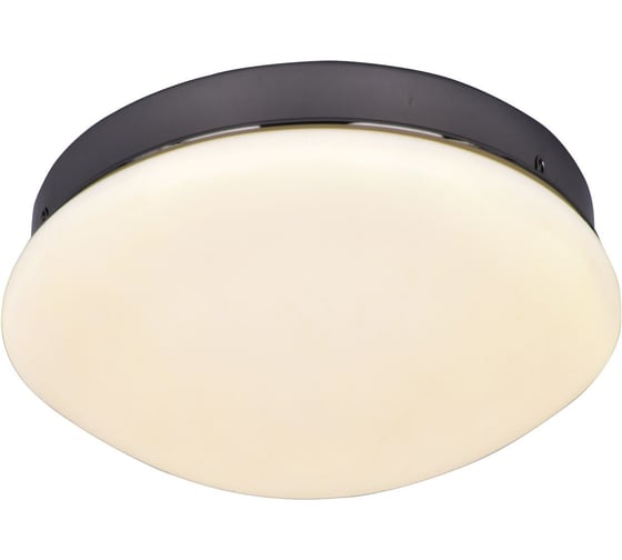 Потолочный светодиодный светильник F-promo 2468-1C