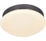 Потолочный светодиодный светильник F-promo 2468-1C 2