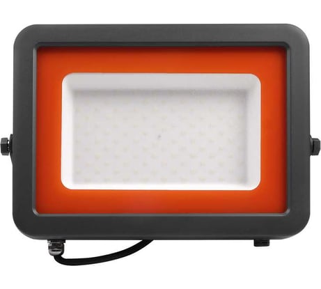 Светодиодный прожектор Jazzway PFL-S2 100Вт 6500К IP65 220–240В ДО с клапаном закаленное матовое стекло серый 2853325D