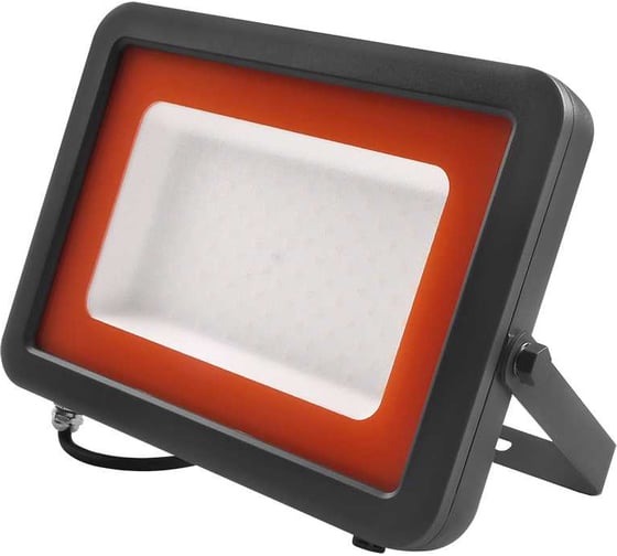 Светодиодный прожектор Jazzway PFL-S2 100Вт 6500К IP65 220–240В ДО с клапаном закаленное матовое стекло серый 2853325D