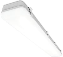 Светильник WOLTA Pro ПРОМ Матовый ДСП01-72-001-6К