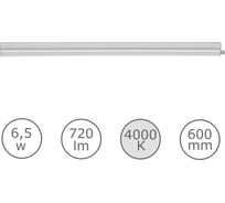 Светильник светодиодный LEDVANCE BATSWECOT5 600 6.5W 840 2XFS10x1 RULEDV 4099854359477