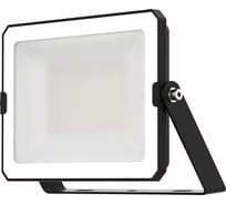 Прожектор светодиодный LEDVANCE FL ECO 30W765 BK 24x1 G4RU LEDV 4099854400094