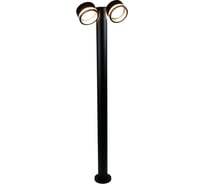 Садово-парковый светильник General Lighting Systems General серия Иллюмакс высокий с боковым рассеивателем (262*100*1000), GPF-2GX53-M-IP65, два патрона GX53, под лампу до 50Вт, корпус металл + пластик, черный 662424