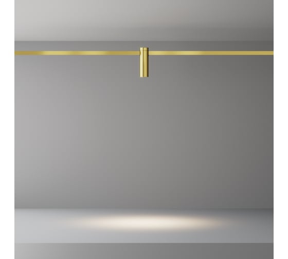 Трековый светильник Maytoni TR143-1-5W4K-W-BS