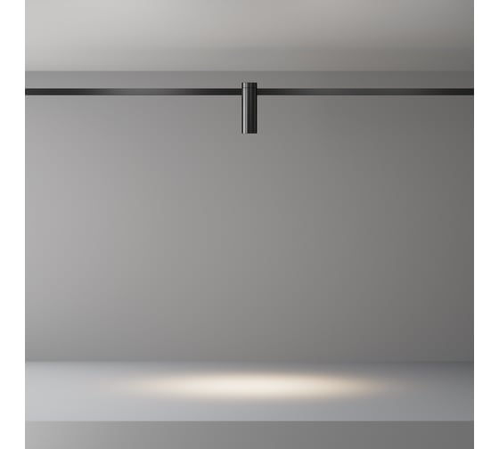 Трековый светильник Maytoni TR143-1-5W4K-W-B