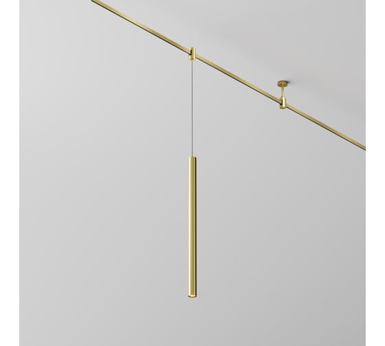 Трековый светильник Maytoni TR156-1-5W3K-BS