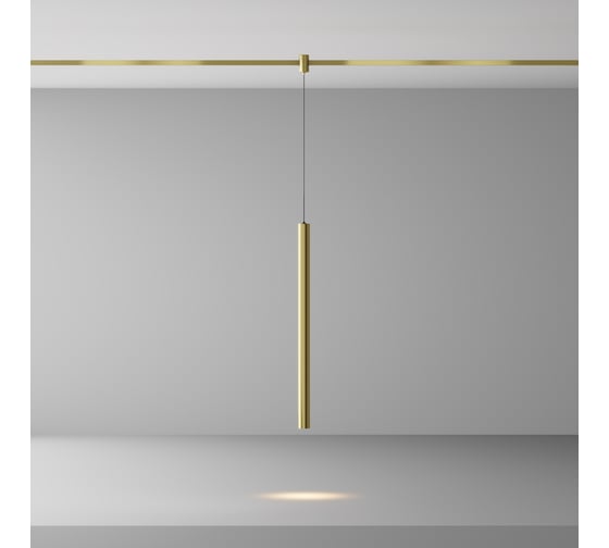 Трековый светильник Maytoni TR156-1-5W3K-BS