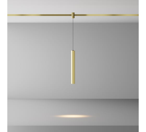 Трековый светильник Maytoni TR155-1-5W3K-BS
