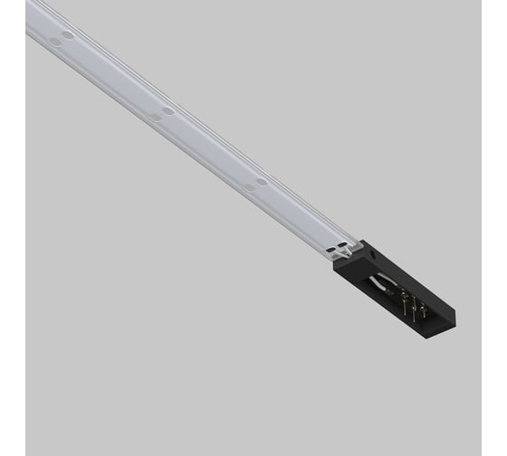 Трековый светильник Maytoni TR160-1-100W3K-10B