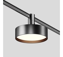 Трековый светильник Maytoni TR204-1-12W3K-B