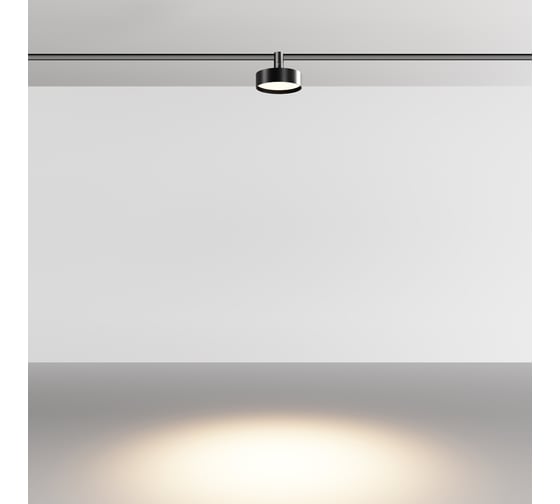Трековый светильник Maytoni TR204-1-12W3K-B