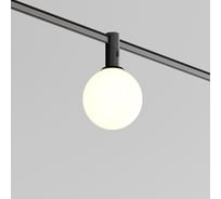 Трековый светильник Maytoni TR208-1-5W3K-B