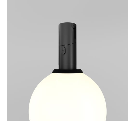 Трековый светильник Maytoni TR208-1-5W3K-B
