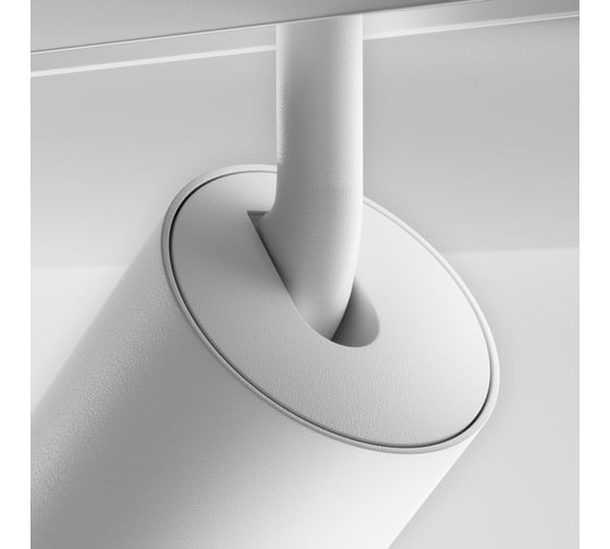 Трековый светильник Maytoni TR212-4-12WTW-Z-DSZ-W