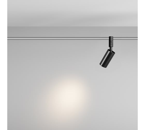 Трековый светильник Maytoni TR201-1-10W3K-M-B
