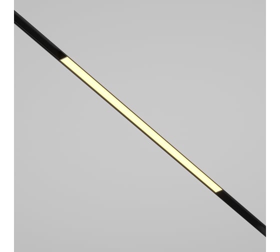 Трековый светильник Maytoni TR030-2-24W2.7K-B