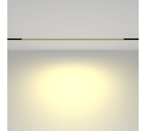 Трековый светильник Maytoni TR030-2-24W2.7K-B
