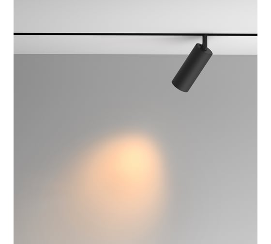 Трековый светильник Maytoni TR097-2-12W2.7K-M-BB