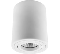 Светильник точечный De Fran накладной, круг GU10 - белый 220В 60Вт, поворотный d80хh100мм, AL-2507 WH