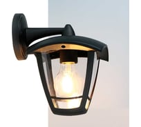 Фасадный светильник General Lighting Systems Пушкинский малый (185*165*225), GWL-E27-M-IP65, патрон Е27, под лампу до 50Вт, направление лампы вниз, корпус пластик + стекло, черный 662496