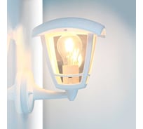 Фасадный светильник General Lighting Systems Пушкинский малый (185*165*225), GWL-E27-M-IP65, патрон Е27, под лампу до 50Вт, направление лампы вверх, корпус пластик+стекло, белый 662444