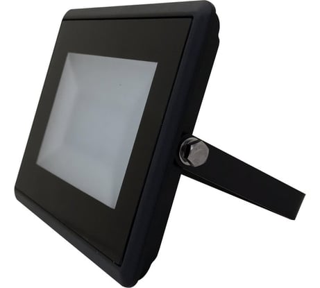 Светильник-прожектор LEDVANCE ECOCLASS FL 100W 865 230V BK 2X1 4058075183483