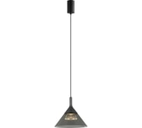 Подвесной светодиодный светильник Gerhort G52119/1BK+GR SM+CL