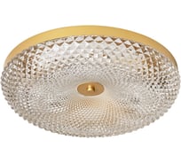 Потолочный светодиодный светильник ЭкономСвет 51296/1GD CL