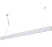 Накладной подвесной светодиодный светильник NOVOTECH пластик LED 20W ITER 358052