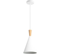 Подвесной светильник ЭкономСвет 10272/1WT WT+WD