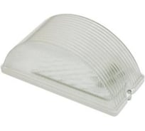 Светильник ЗСП Eco LED-10-001 865 717610001