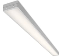 Светильник WOLTA Pro ГИМНАЗИСТ Матовый ДПО02-36-101-4К-90