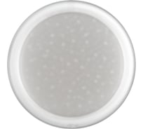 Настенно-потолочный светильник СОНЕКС JOLLY LED 48W 7775/DLN