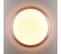 Настенно-потолочный светильник СОНЕКС PORTMAN LED 48W 7778/DLN 7