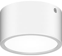 Уличный светодиодный светильник Lightstar ZOLLA 380163